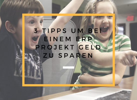 Kosten sparen bei ERP Projekt